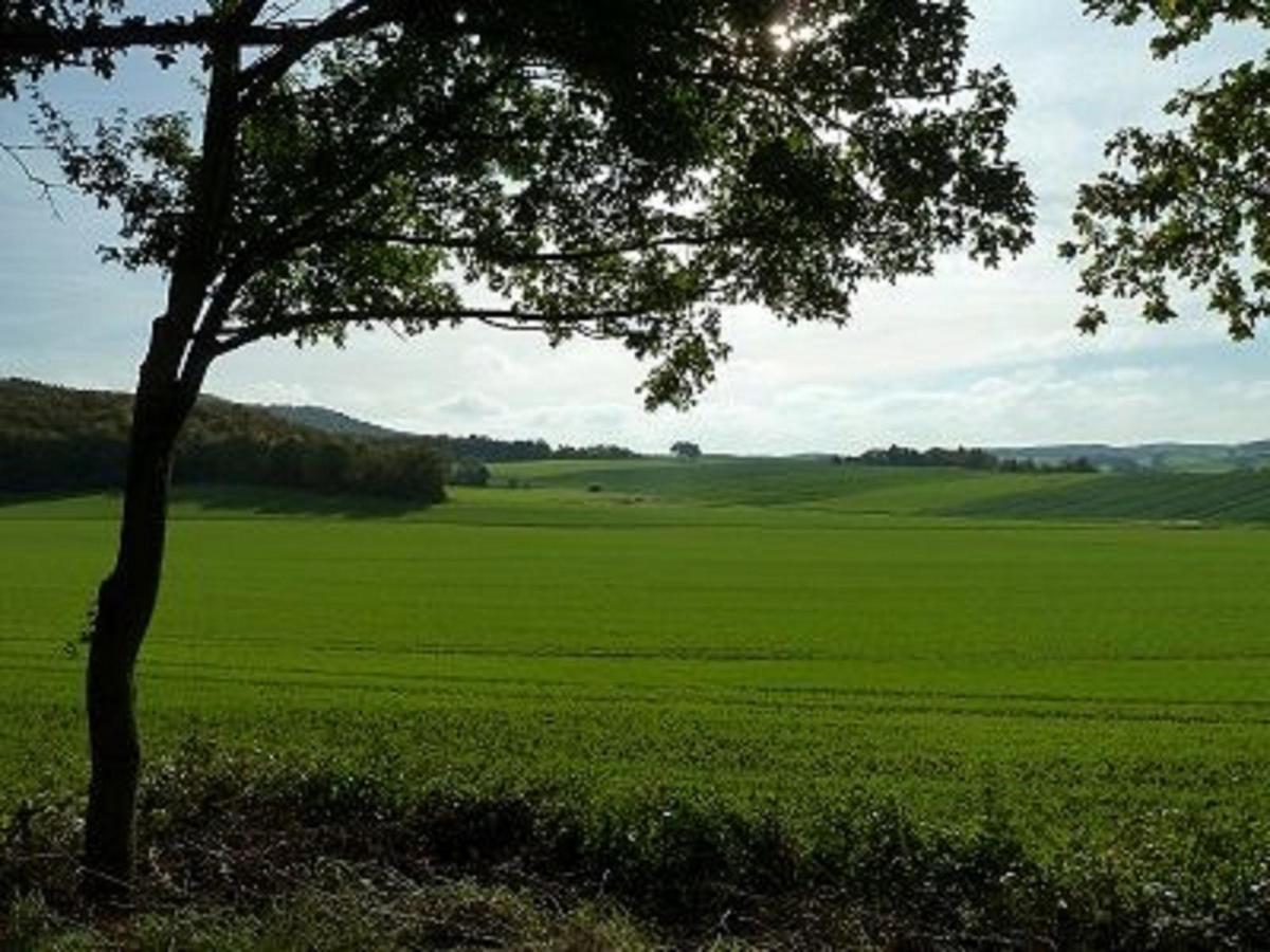 Sulzfeld  Feriendorf Sulzfeld 빌라 외부 사진
